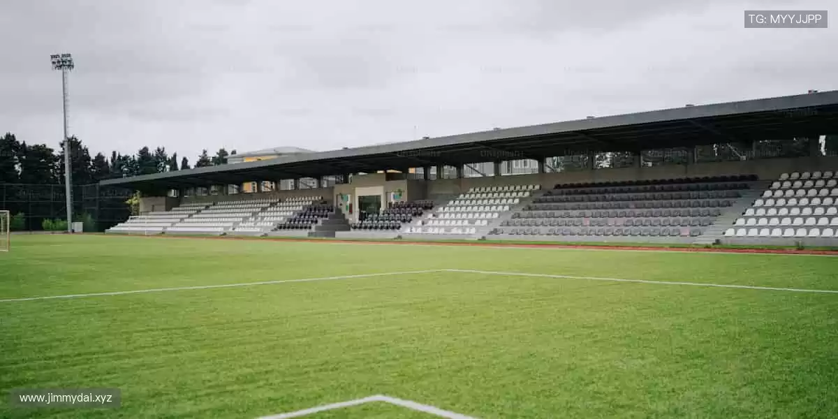 ✨ 突破极限，超越自我！体育精神，由你我共同书写！